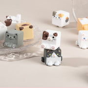 Square Cat Bean Charm Blind Bag